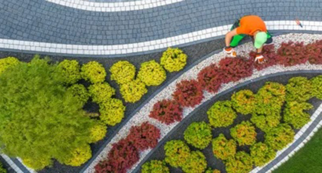 Peyzaj Firması Datası